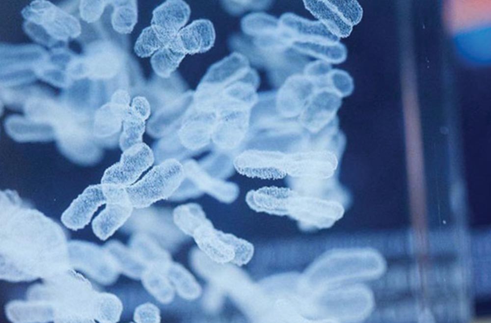 Miscropscopic imaging of chromosomes